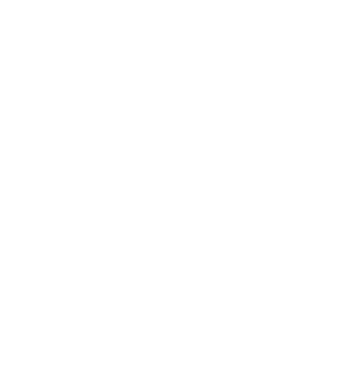 THINK Information Technologies